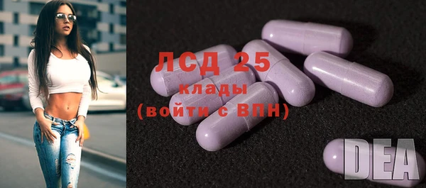мяу мяу мука Алзамай