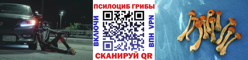 Галлюциногенные грибы GOLDEN TEACHER  MEGA ONION  Сафоново  где продают  